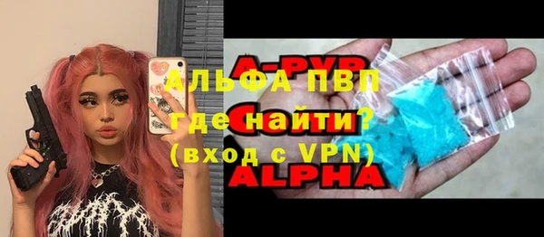шишки Арсеньев