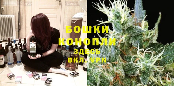 шишки Арсеньев