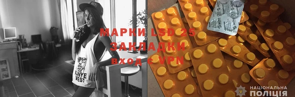 шишки Арсеньев