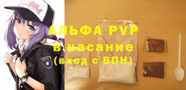 шишки Арсеньев