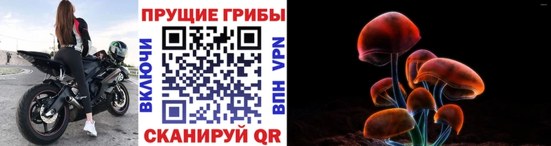 Псилоцибиновые грибы ЛСД  OMG онион  Зеленодольск  наркошоп 